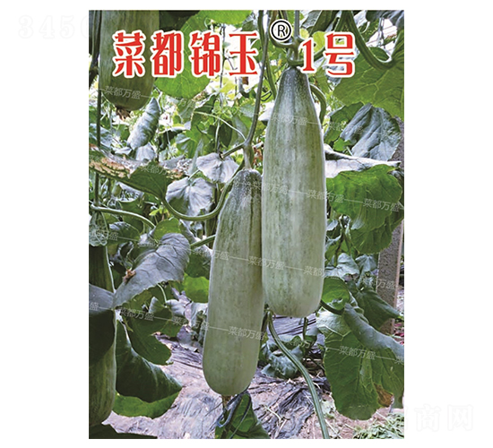 �˶��\��1̖(h��o)-��ϷN��-�˶��fʢ