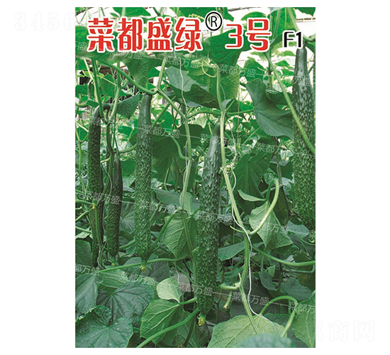 �˶�ʢ�G3̖(h��o)-�S�ϷN��-�˶��f(w��n)ʢ