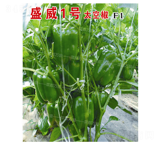 ʢ��1̖(h��o)̫�ս�-�����N��-�˶��f(w��n)ʢ