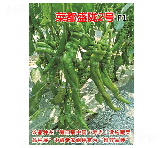 �˶�ʢ�]2̖-�����N��-�˶��fʢ