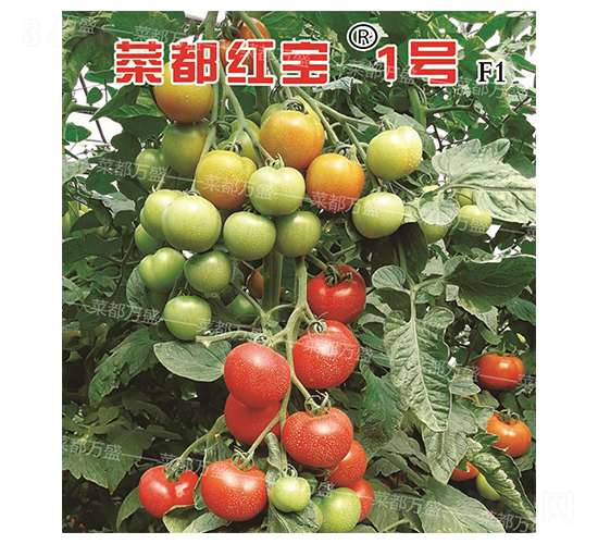 �˶��t��1̖(h��o)-���t���N��-�˶��f(w��n)ʢ