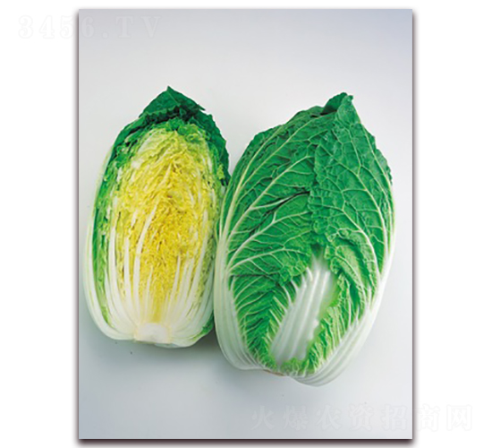 ������-��ײ˷N��-���A�N�I(y��)