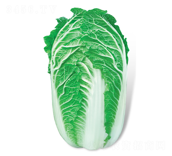 ���մ���-��ײ˷N��-���A�N�I(y��)