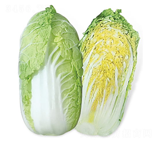 ����-��ײ˷N��-���A�N�I(y��)