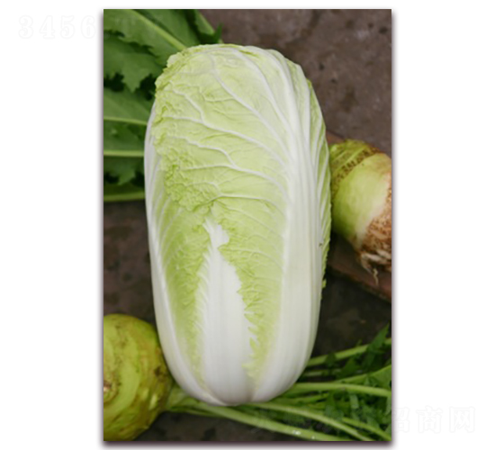 ������-��ײ˷N��-���A�N�I(y��)