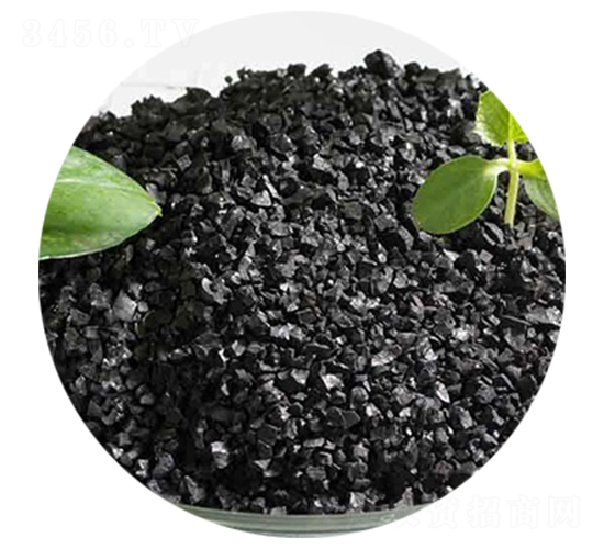 �w�����-����ֲ��