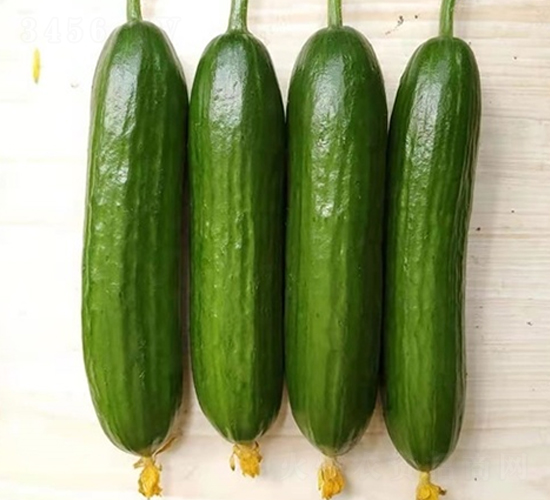 �Ɍ�-ˮ���S�ϷN��-��Ļ��