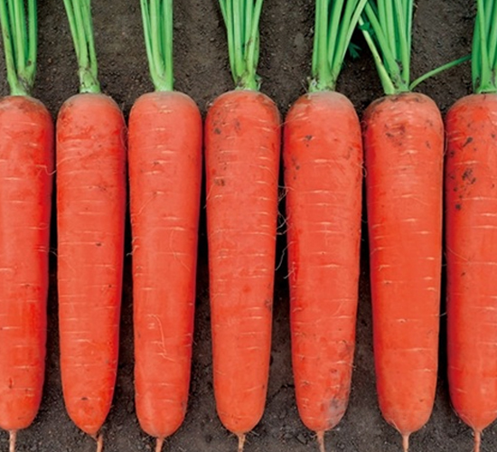 Ļ����t-���}���N��-��Ļ��