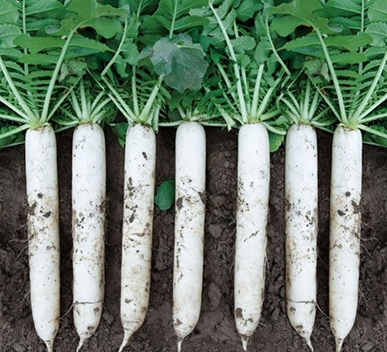 Ļ������-�}���N��-��Ļ��