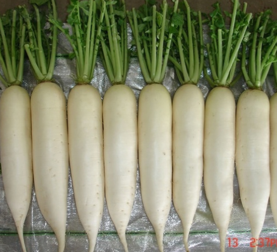 ѩ��-�}���N��-��Ļ��