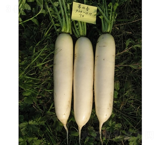 ꖴ���ѩ-�}���N��-��Ļ��