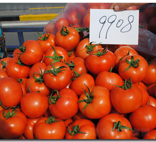 ����9908-���ѷN��-��֮��