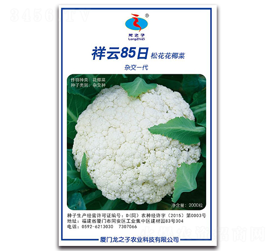 ����85��-�ɻ��˷N��-��֮��