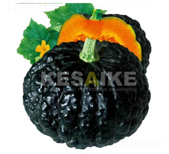 �wِ�w�Ϲ�-�ϹϷN��-�wِ�w