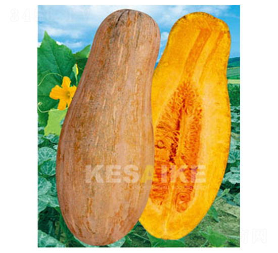 �۱��Ϲ�-�ϹϷN��-�wِ�w