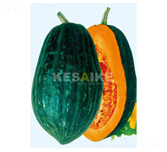 �����Ϲ�-�ϹϷN��-�wِ�w