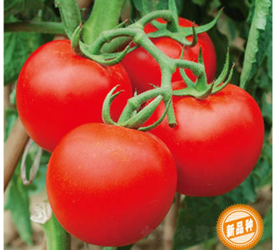 5918-���ѷN��-�wِ�w