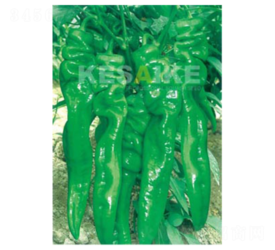 ����һ̖-�����N��-�wِ�w