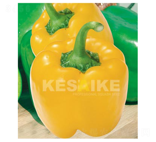 �ʹ�һ̖(h��o)-�𽷷N��-�wِ�w