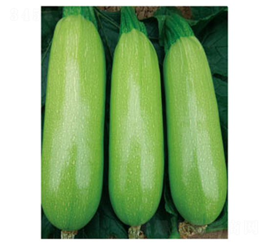 ����-�����J�N��-�wِ�w