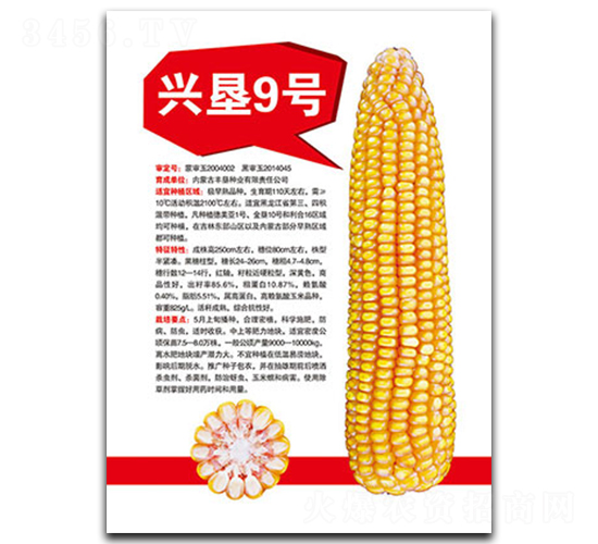 �d��9̖(h��o)-���׷N��-�S���N�I(y��)