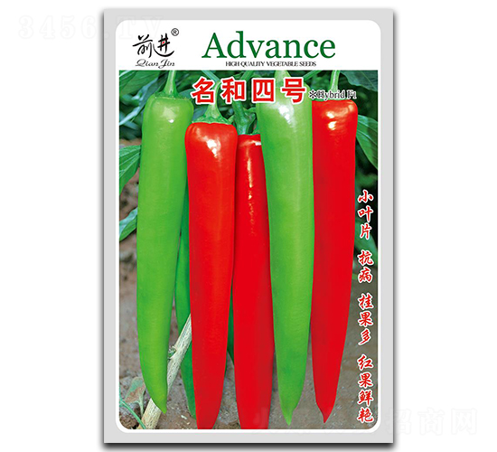 ������̖-�⽷�N��-ǰ�M