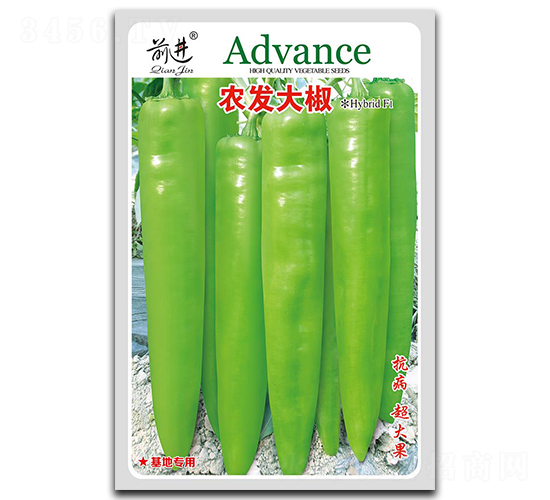 �r(n��ng)�l(f��)��-�⽷�N��-ǰ�M(j��n)