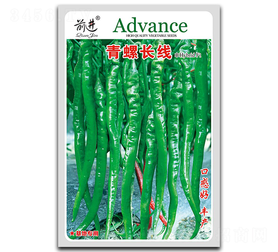 �����L(zh��ng)��(xi��n)-�ݽz���N��-ǰ�M(j��n)