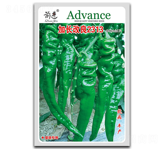 ���L����2313-�ݽz���N��-ǰ�M