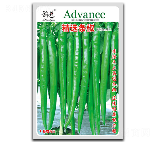 ���x�l��-�����N��-ǰ�M(j��n)