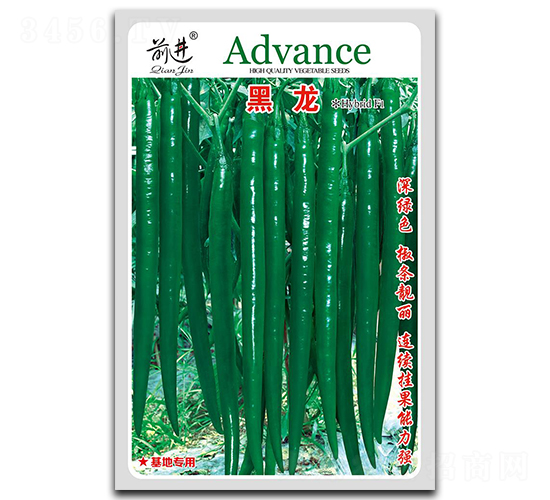 ����-�����N��-ǰ�M(j��n)