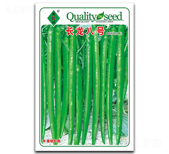 �L����̖-�����N��-ǰ�M