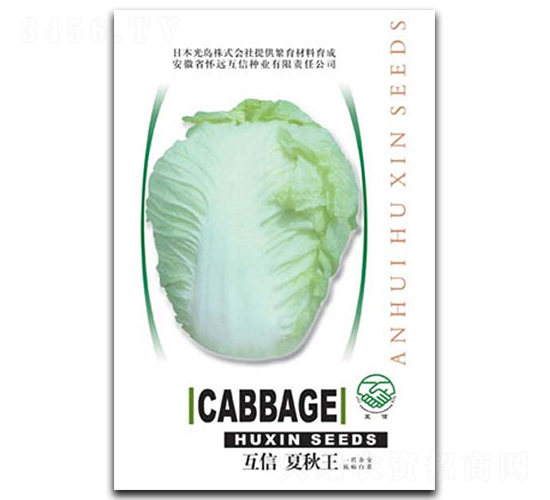 ����������-�ײ˷N��-�|���r(n��ng)�I(y��)