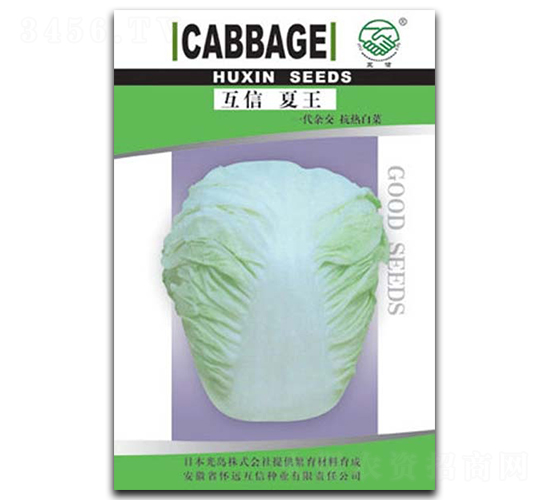 ��������-�ײ˷N��-�|���r�I(y��)