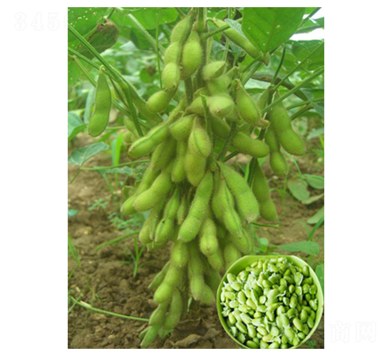 ����������-ë���N��-�|���r�I(y��)