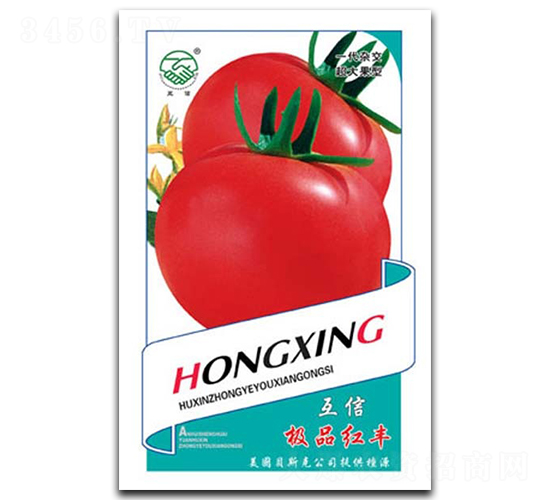 �t�S-���ѷN��-�|���r(n��ng)�I(y��)