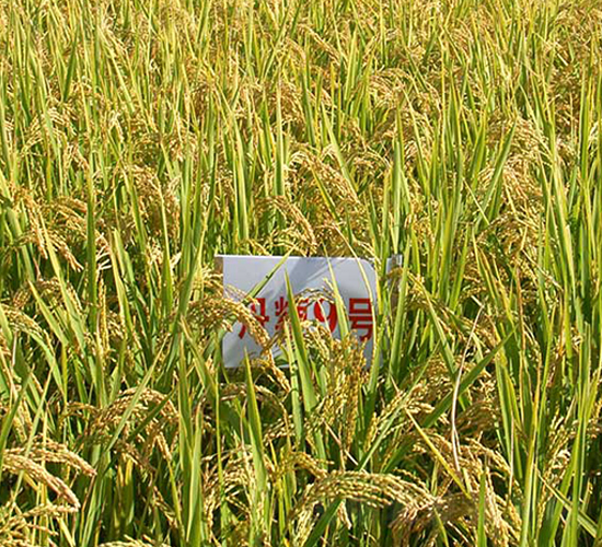 ����9̖(h��o)-ˮ���N��-����N�I(y��)