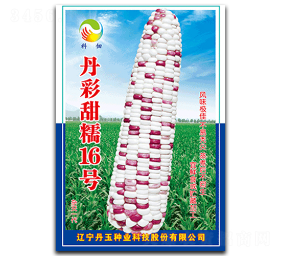 ������Ŵ16̖-Ŵ���׷N��-����N�I(y��)