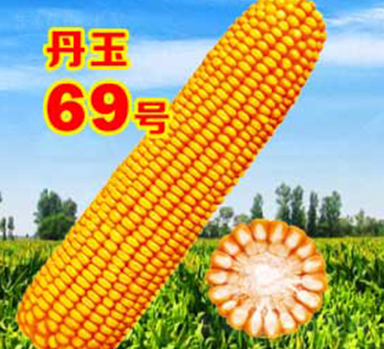 ����69̖(h��o)-���׷N��-����N�I(y��)