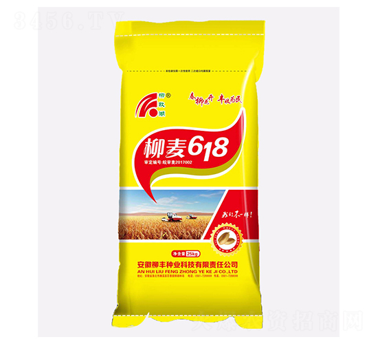 ����618-С���N��-���S�N�I(y��)