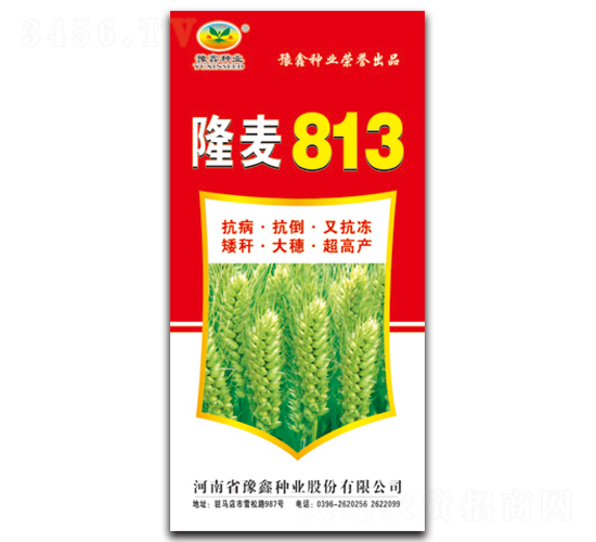 ¡��813-С���N��-ԥ�ηN�I(y��)