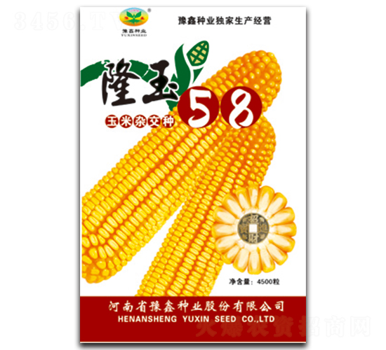 ¡��58-���׷N��-ԥ�ηN�I(y��)