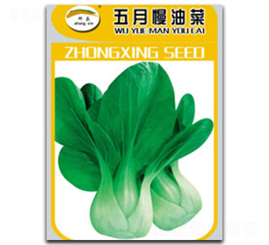 �������Ͳ�-�Ͳ˷N��-�N�ǷN�I(y��)