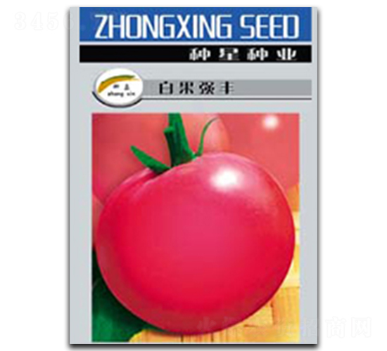 �׹���(qi��ng)�S-���ѷN��-�N�ǷN�I(y��)