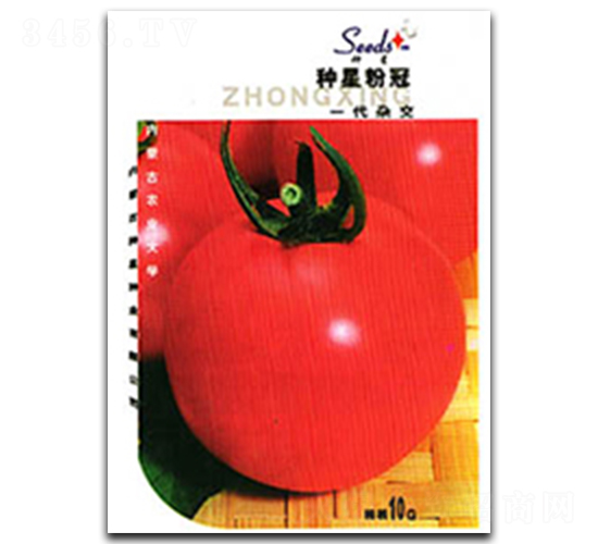 �N�Ƿ۹�-���ѷN��-�N�ǷN�I(y��)