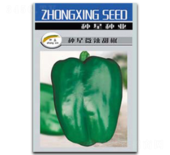 �N��΢����-�𽷷N��-�N�ǷN�I(y��)