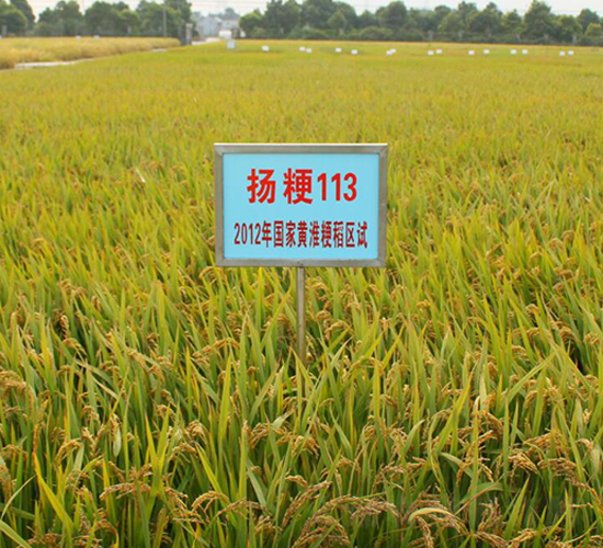 �P��113-ˮ���N��-������