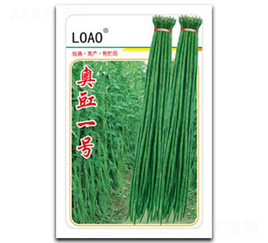 �W��һ̖-�����N��-�G�W