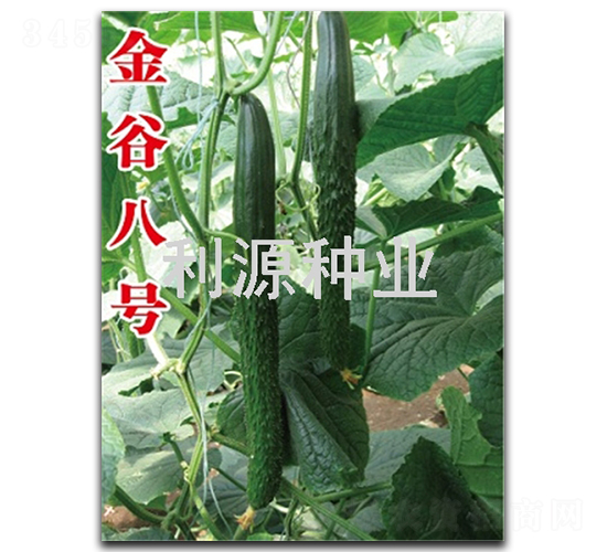 ��Ȱ�̖-�S�ϷN��-��Դ�N�I(y��)