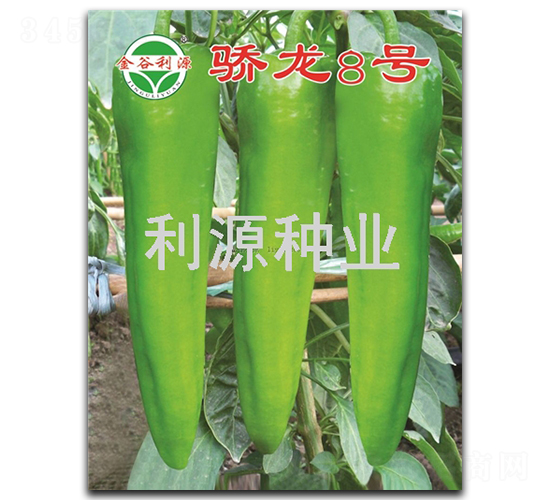 ���8̖-�����N��-��Դ�N�I(y��)